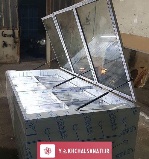 یخجال خوابیده ماهی فروشی