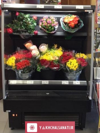 یخچال ویترینی گل فروشی